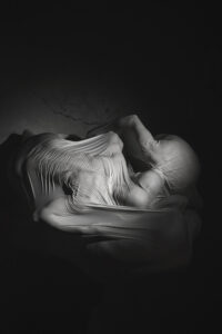 Lapina S Metamorphosis 2